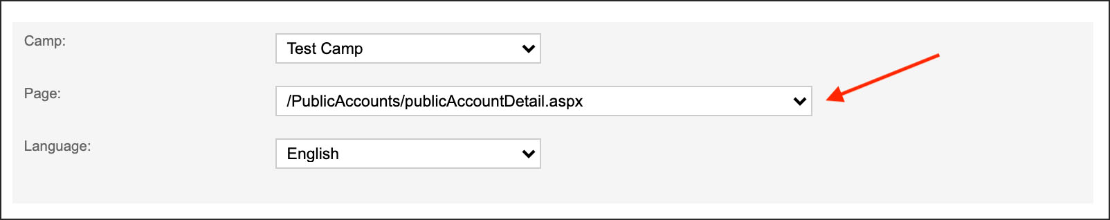 customize_pages_copy.jpg